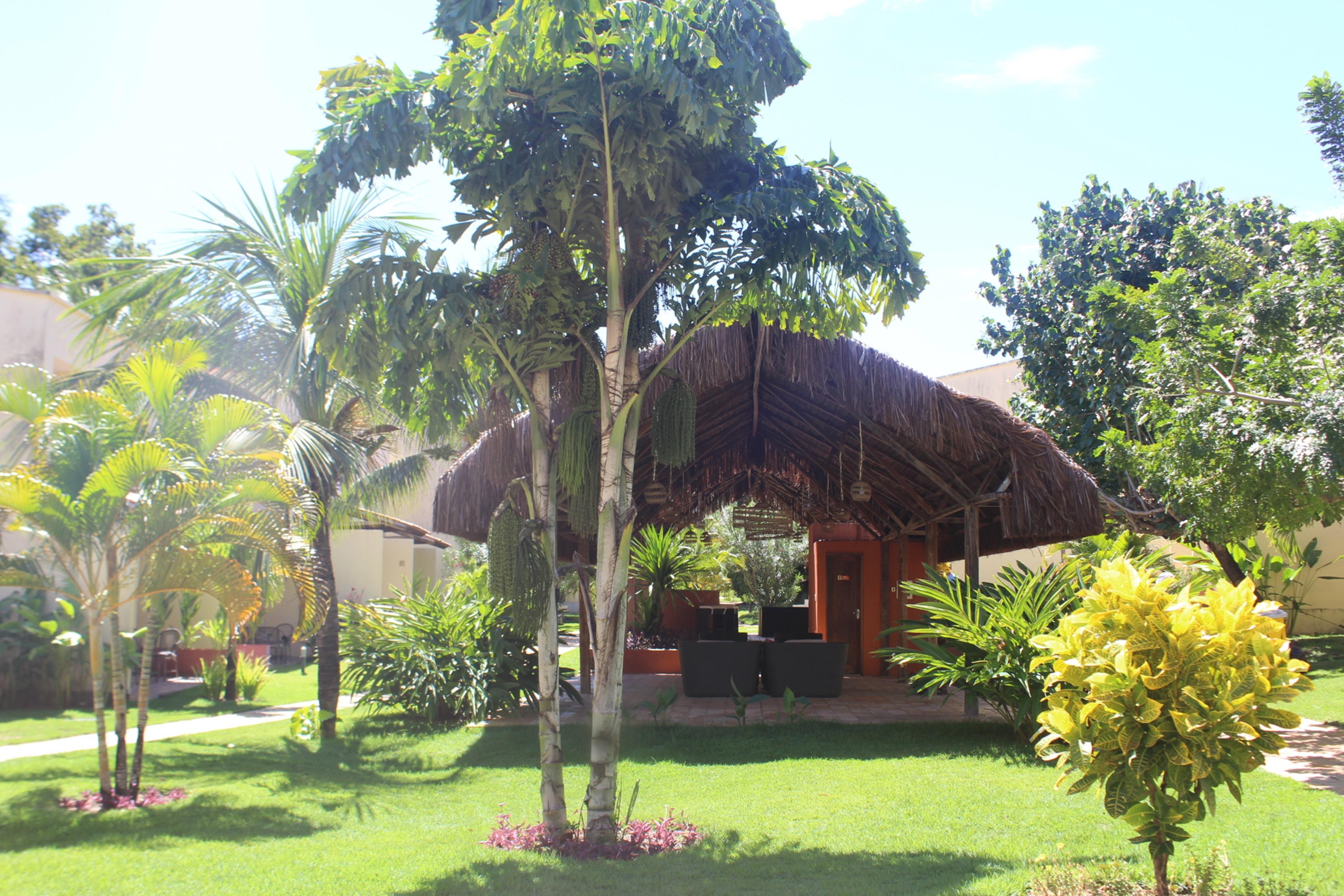 Hotel Pipa Atlantico Praia de Pipa Kültér fotó