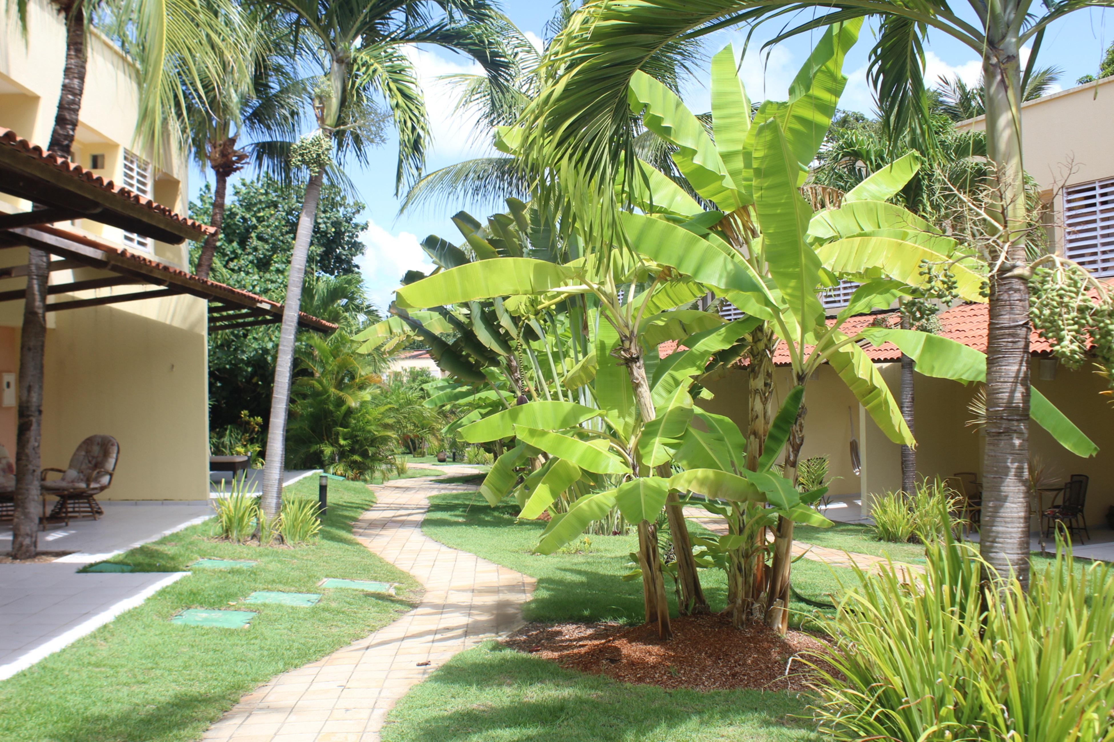 Hotel Pipa Atlantico Praia de Pipa Kültér fotó